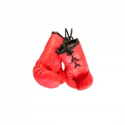 MINI BOXING GLOVES