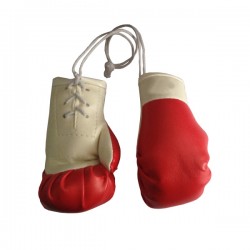 MINI BOXING GLOVES